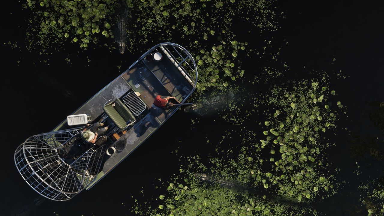 GTA 6