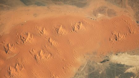 An aerial photo showing a dozen large, star-shaped sand dunes in the Sahara desert