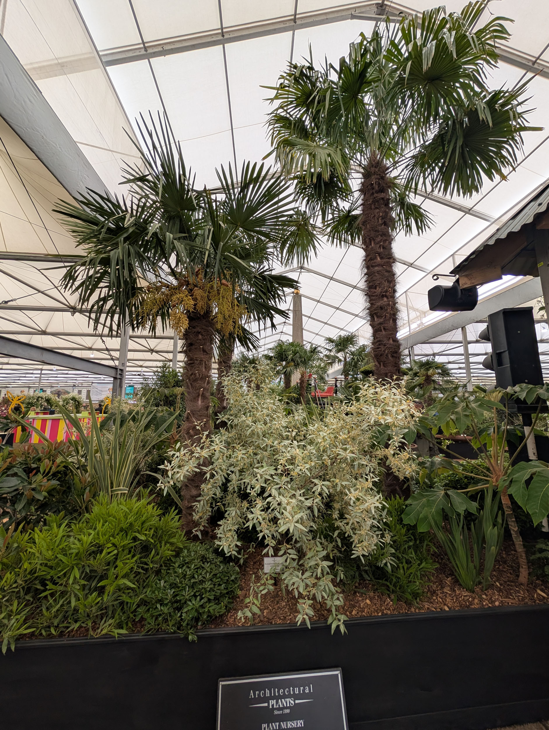 Chelsea Flower Show 26 &amp;mdash;&amp;nbsp;Day 1 pictures