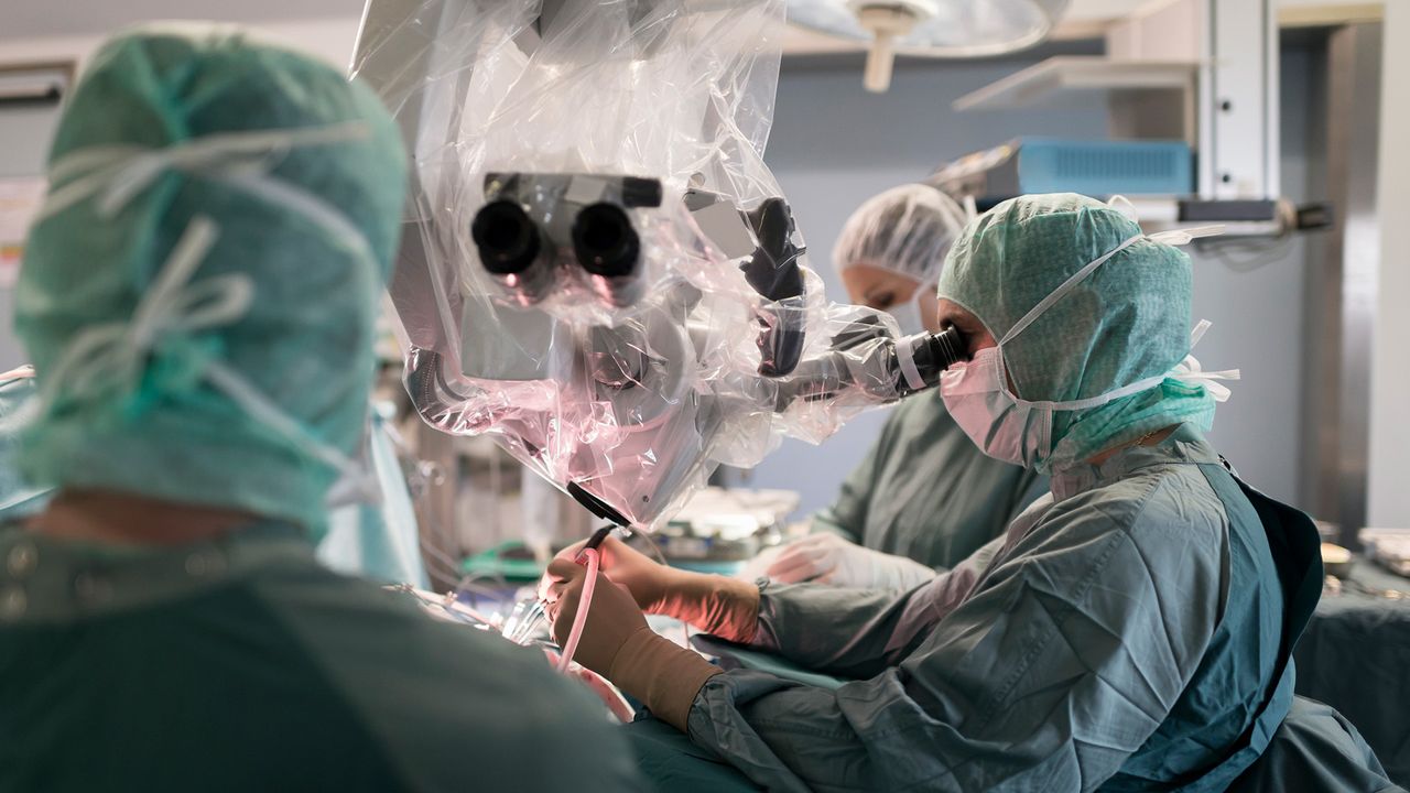 Why aren't brain transplants possible?