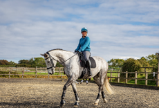 Cooling down your horse after riding