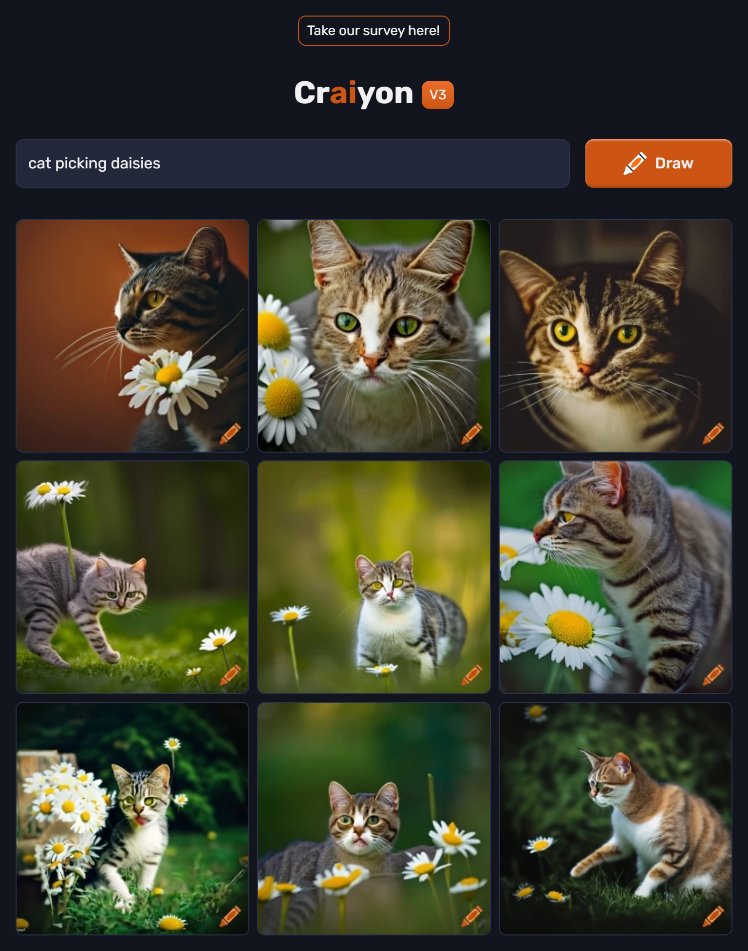 images of cat picking daisies