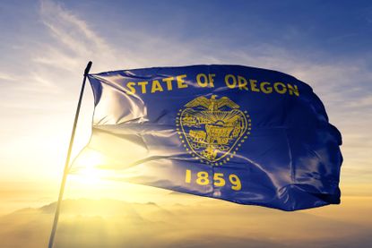 Oregon state flag on pole flying against golden sky