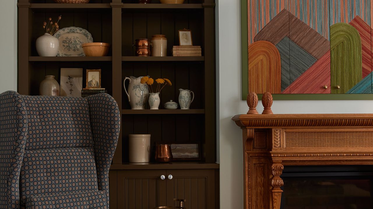 living room with comfortable armchair and bookcase
