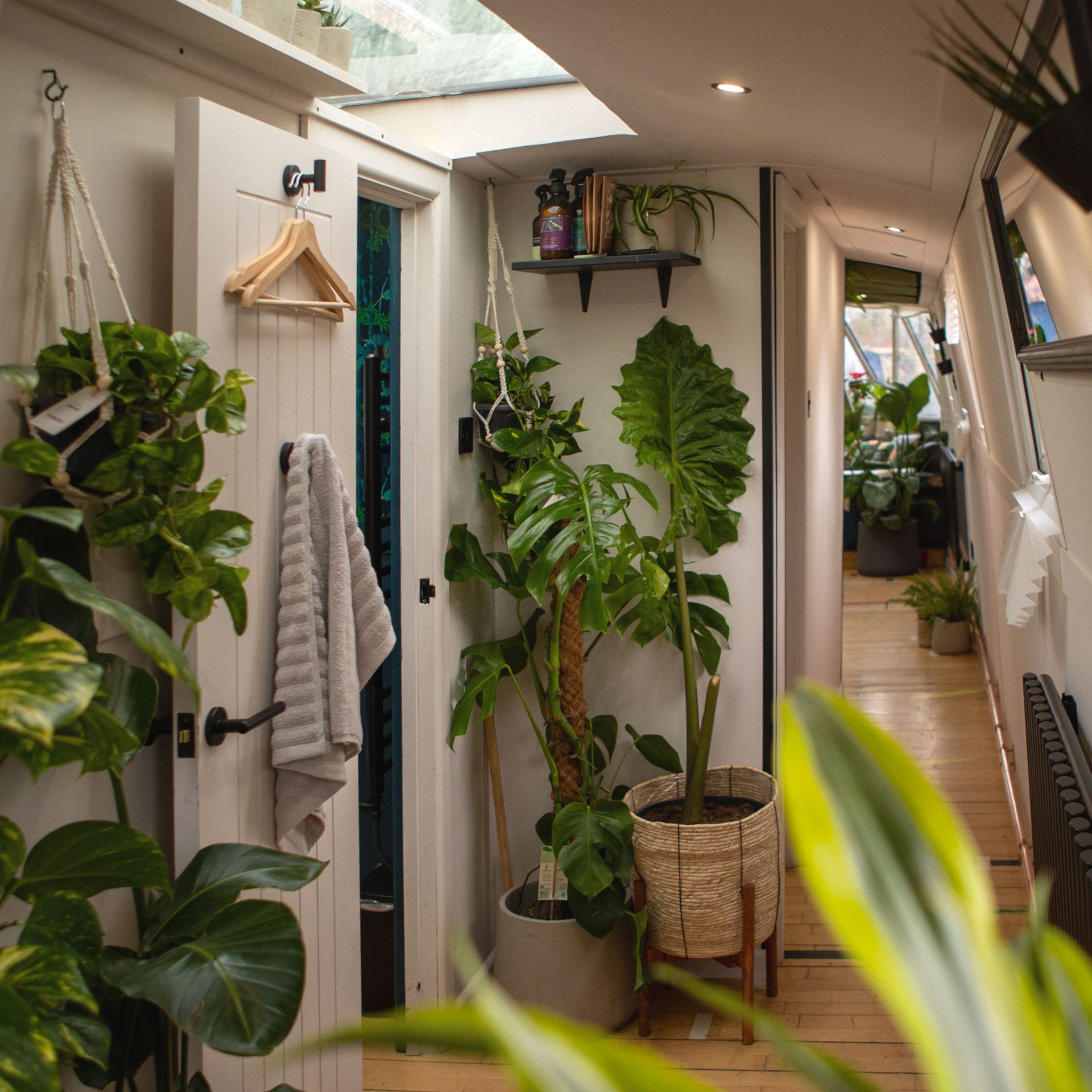 The Floating Terrarium