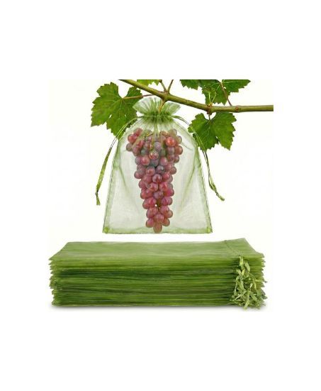 Fruit Protection Bags 8x12"
