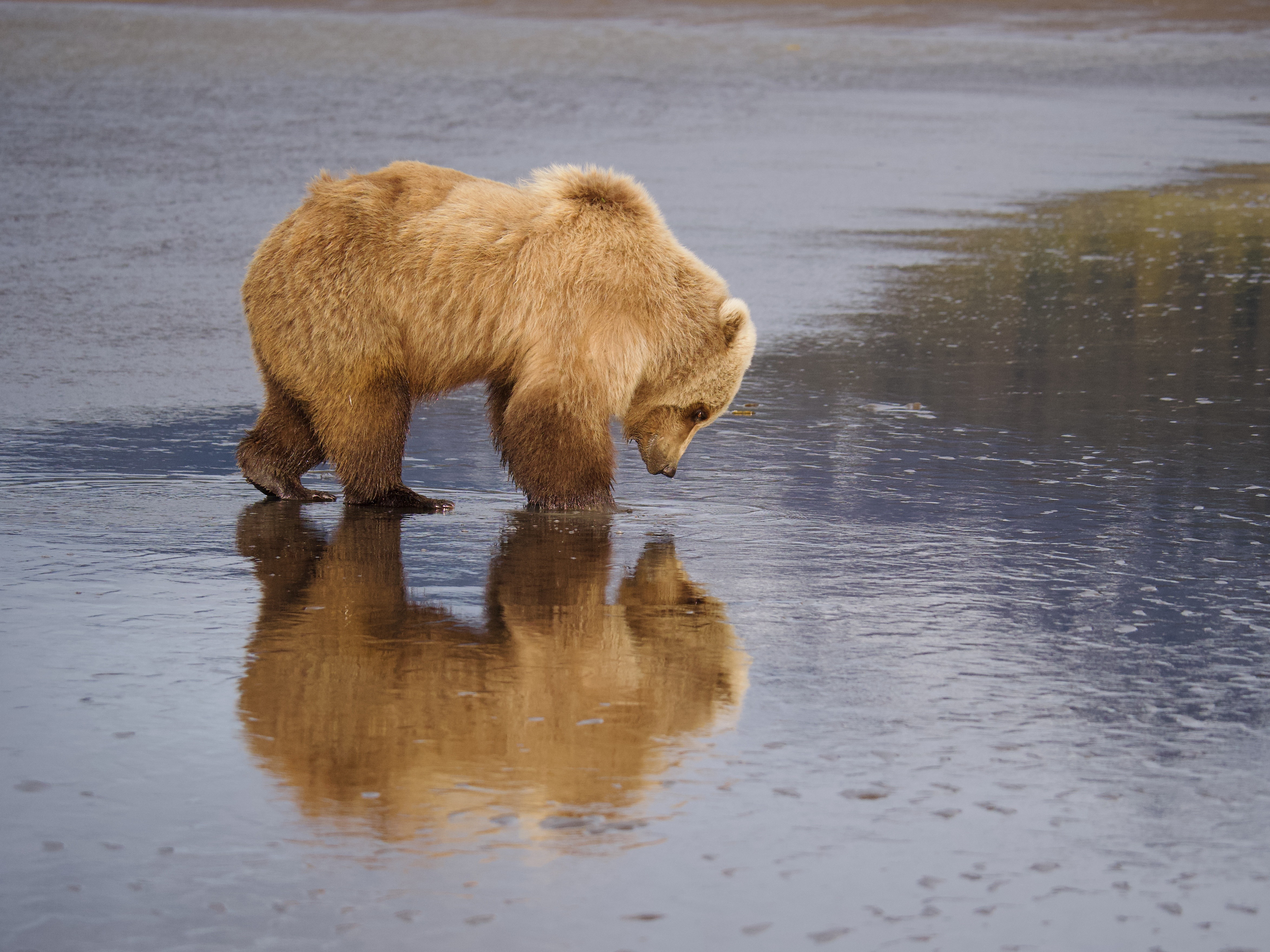 GuruShots - Nature&rsquo;s Masterpiece 2026