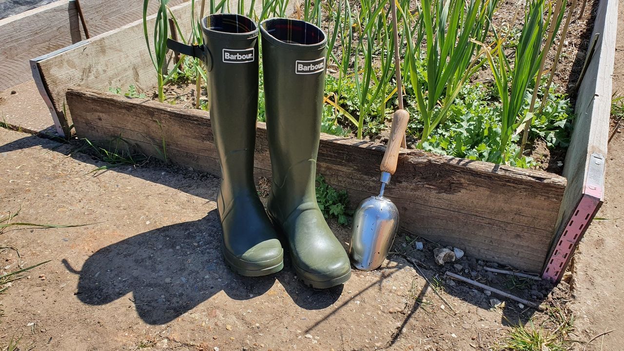 Barbour Bede Wellington boot review