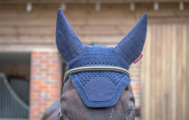 LeMieux Acoustic Fly Hood review