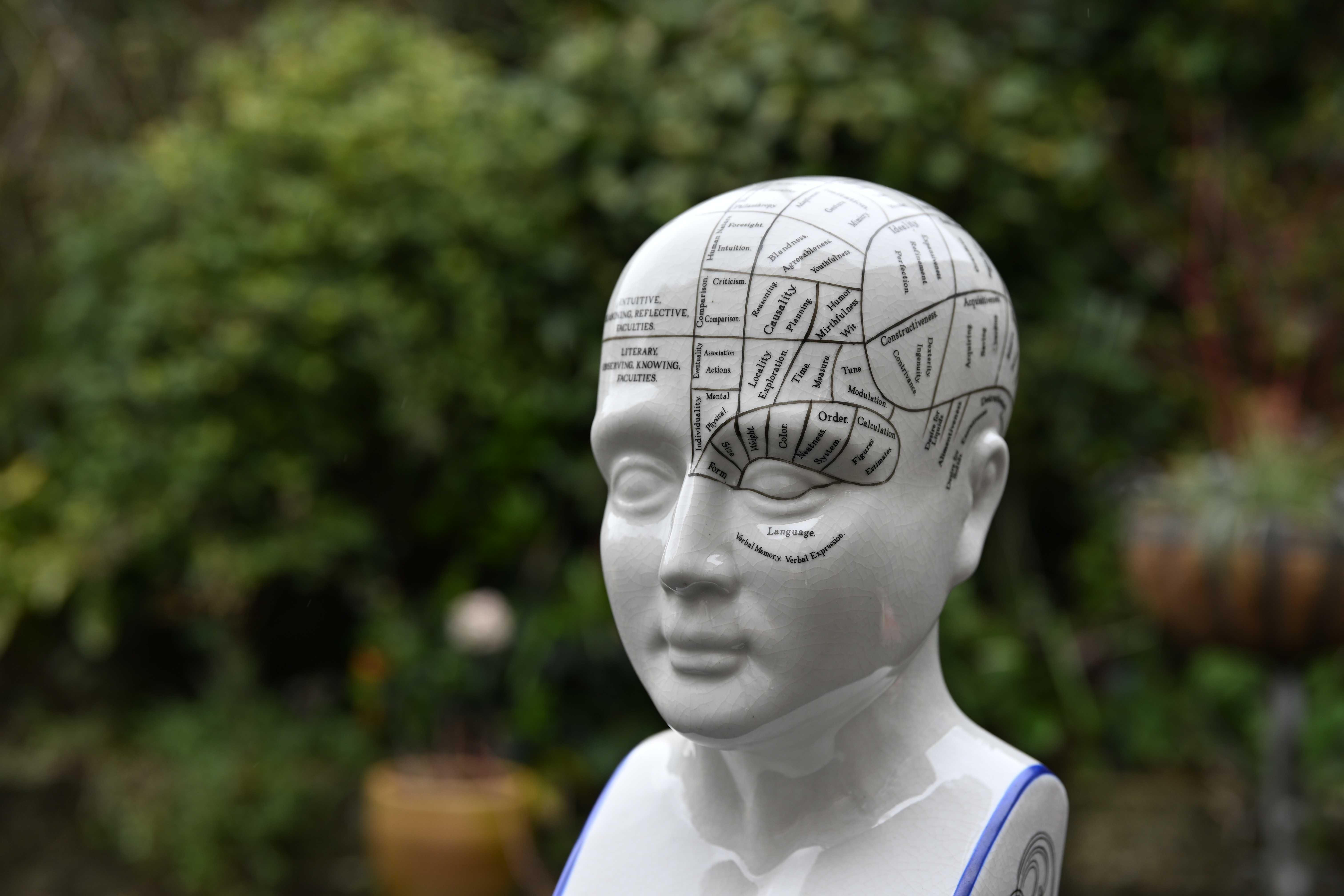 Viltrox AF 55mm f/1.8 Evo sample image