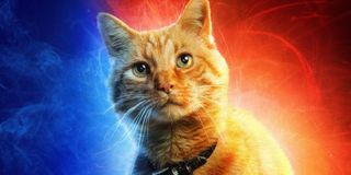Goose the Cat Captain Marvel poster