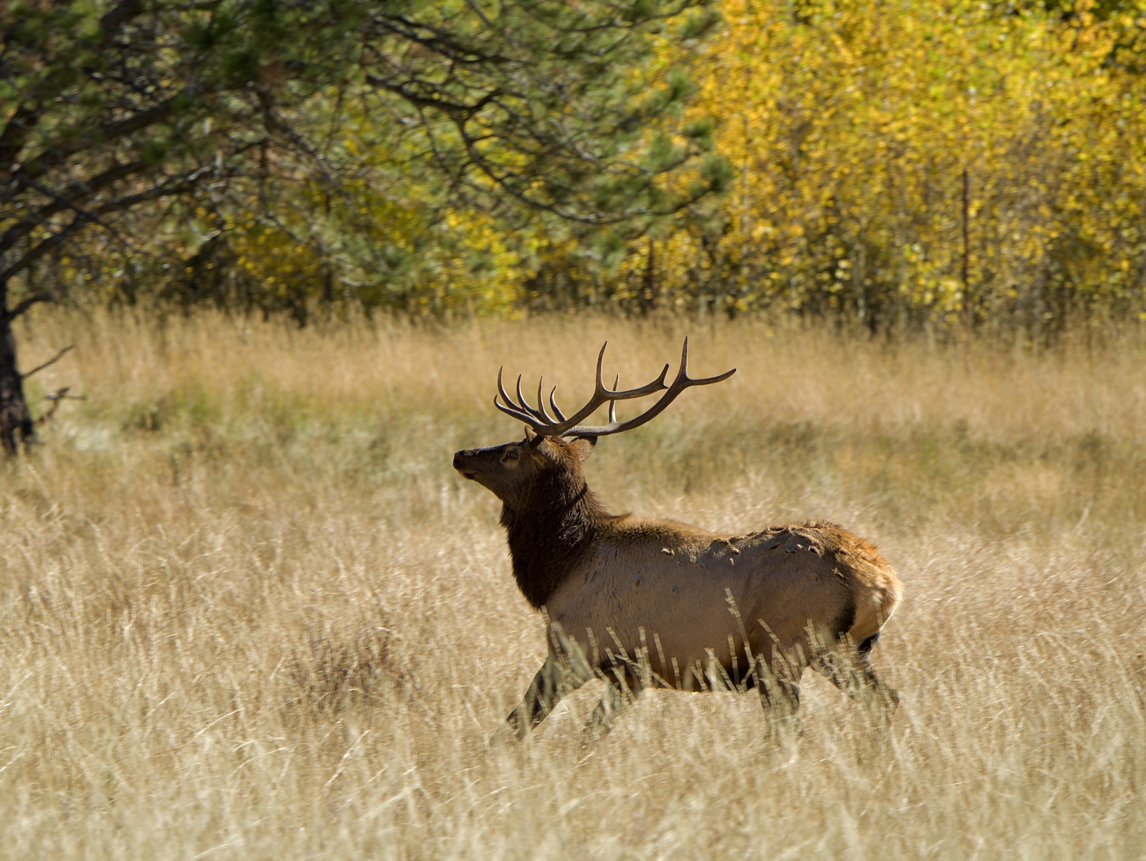 GuruShots - Nature&rsquo;s Masterpiece 2026
