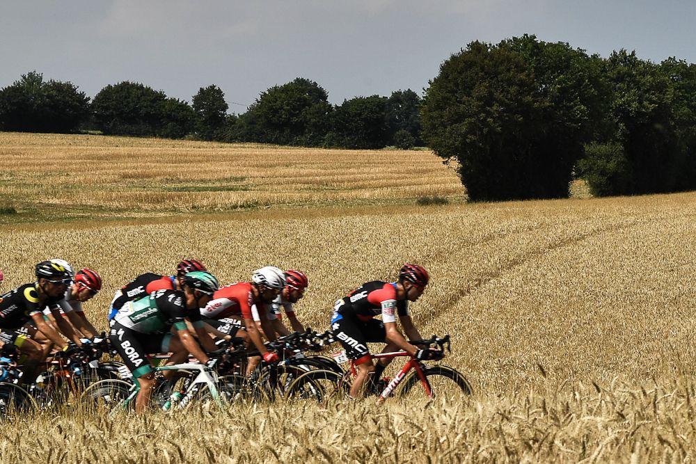 The peloton passes through a wheat field along the route of stage 7 at the Tour de France