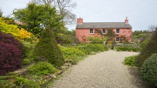 Gravel driveway design leading to pink cottage surrounded by green shrubs and trees
