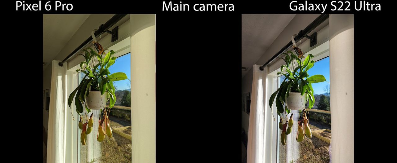 Galaxy S22 Ultra Vs Pixel 6 Pro Main Camera