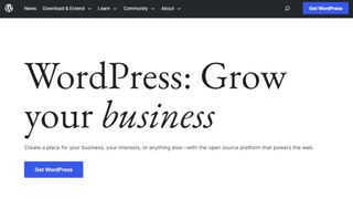 WordPress website screenshot