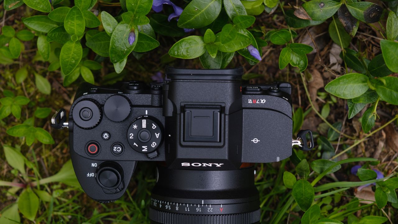 The Sony A7R VI photographed outdoors