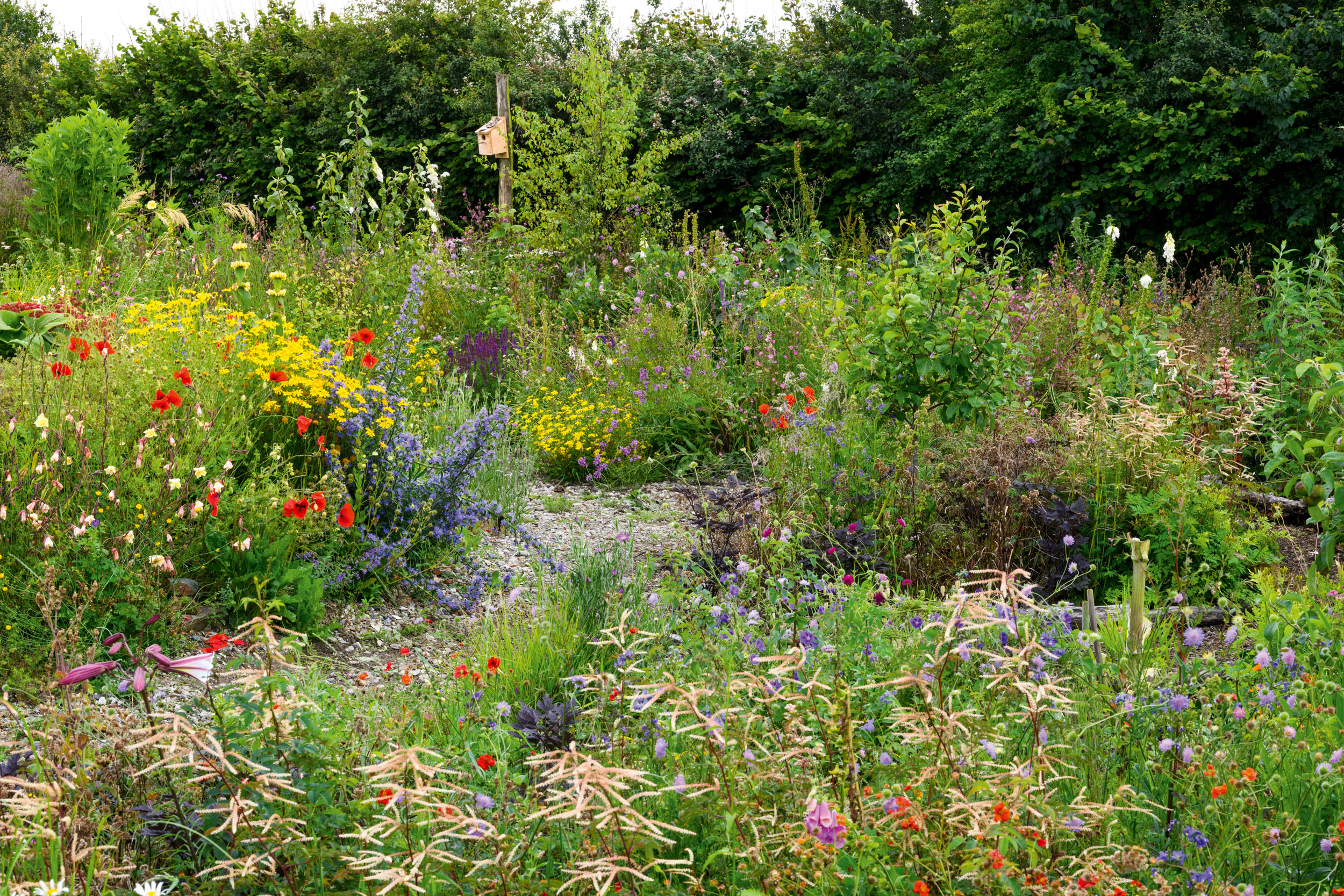 Birch Farm in Devon photographed by Jason Ingram