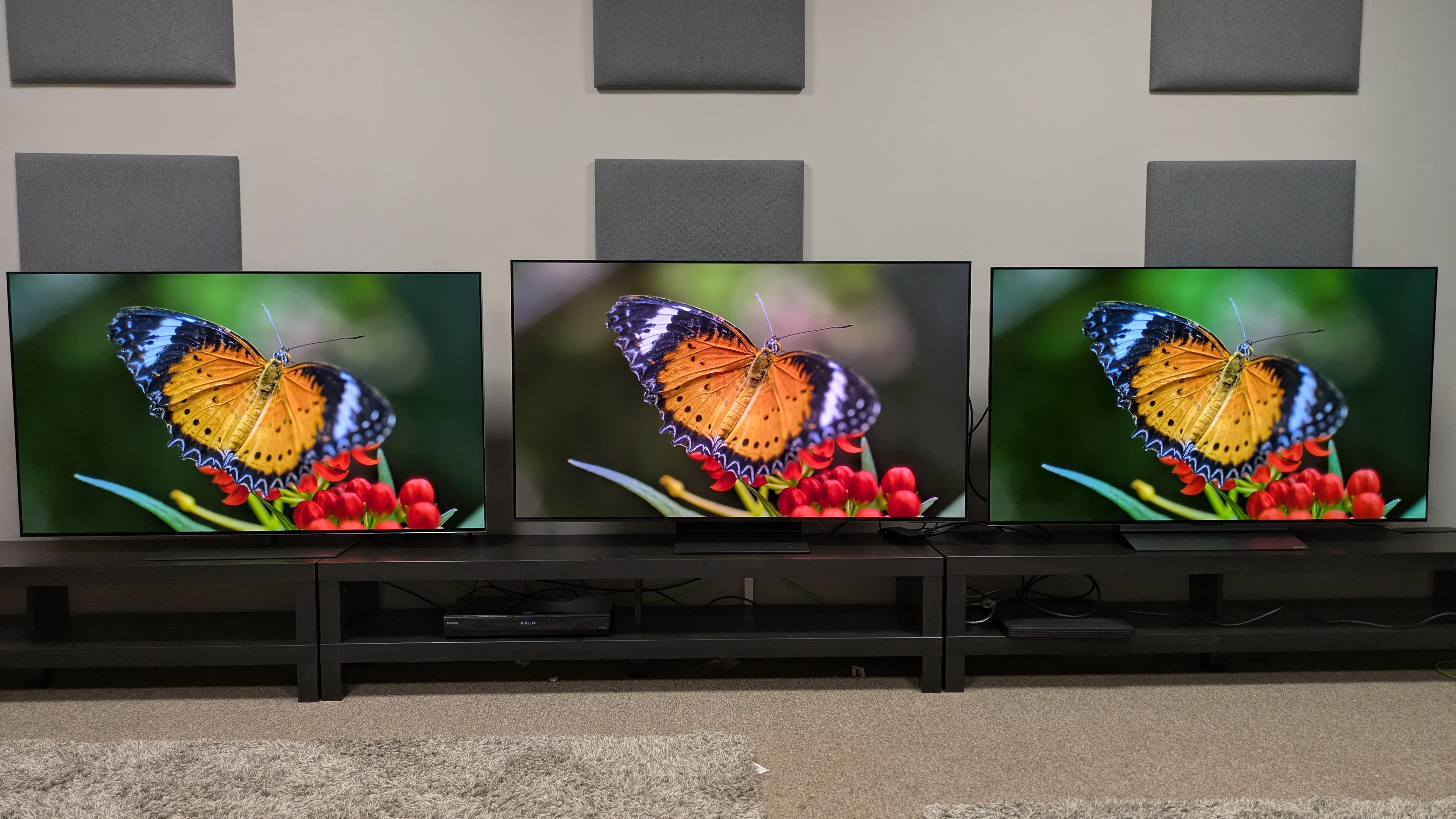 LG G5 (left) vs Samsung S95F (middle) vs LG C5 (right) showing an orange butterfly on screen