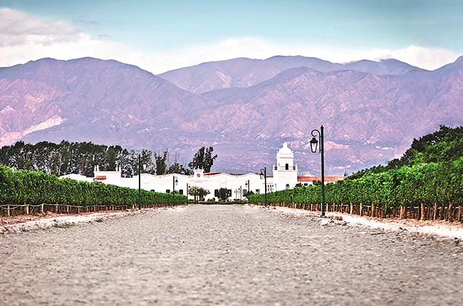 24 hours in Salta, Bodega El Esteco