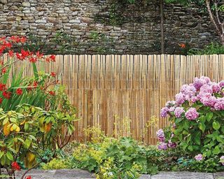 Rolled bamboo fence as background to garden in bloom