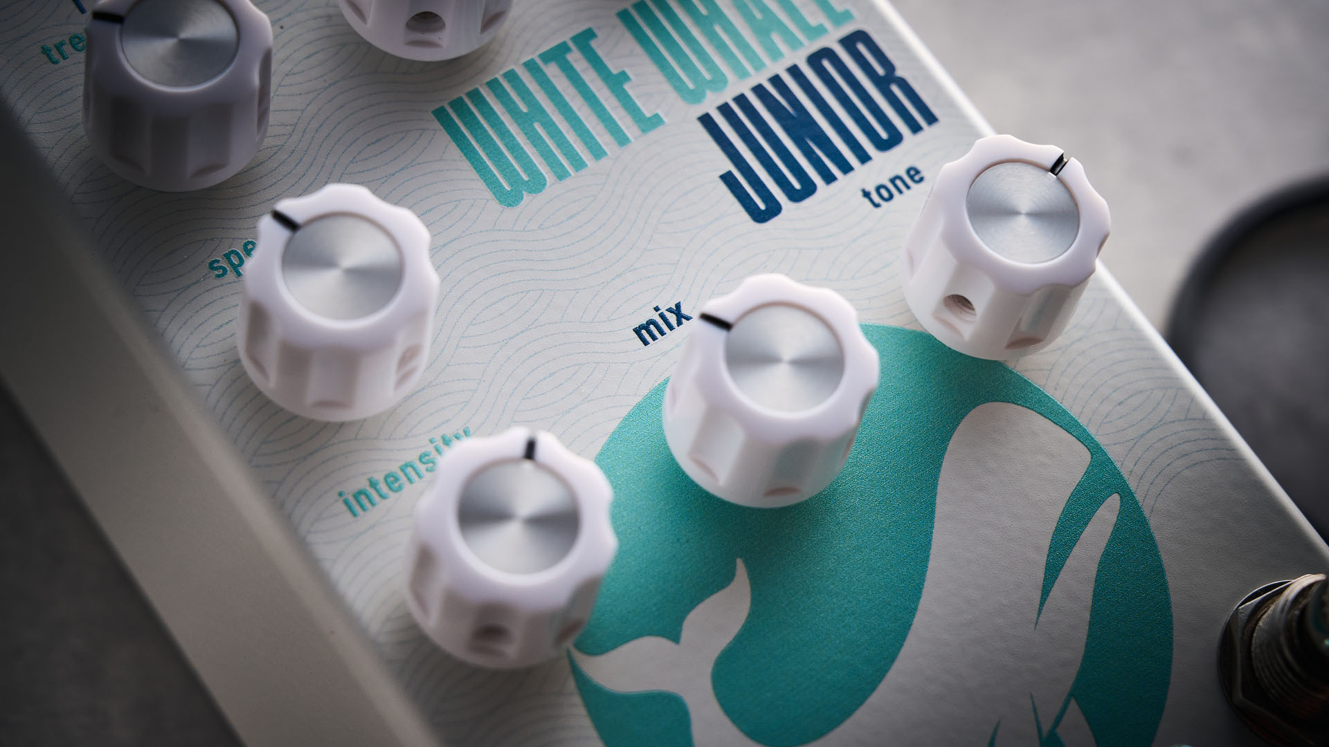 Crazy Tube Circuits White Whale Junior