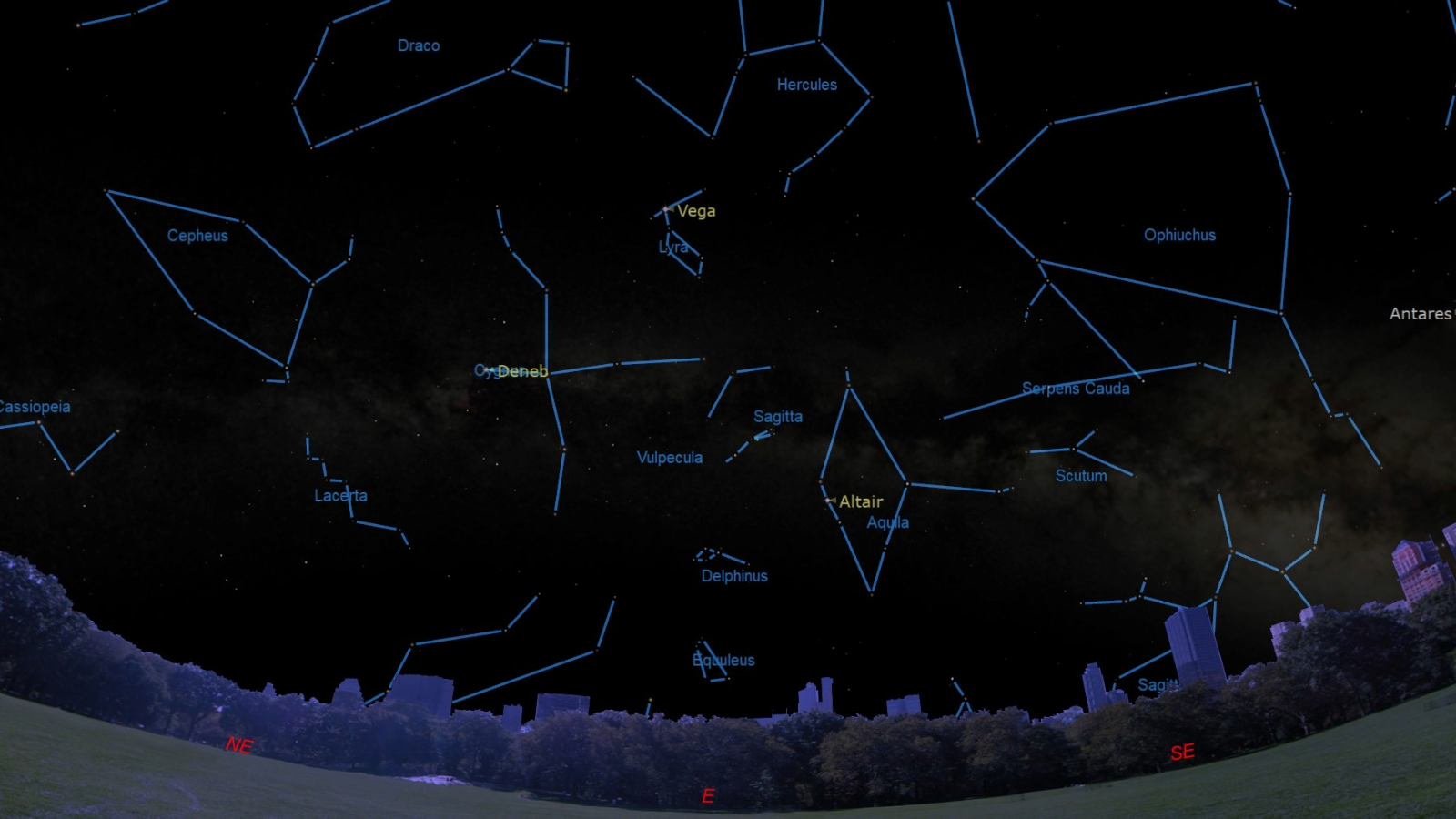 A map of the stars in the night sky