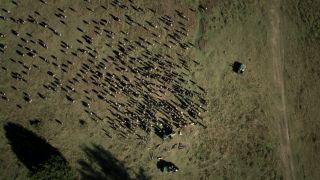 Overhead shot of walker horde in The Walking Dead