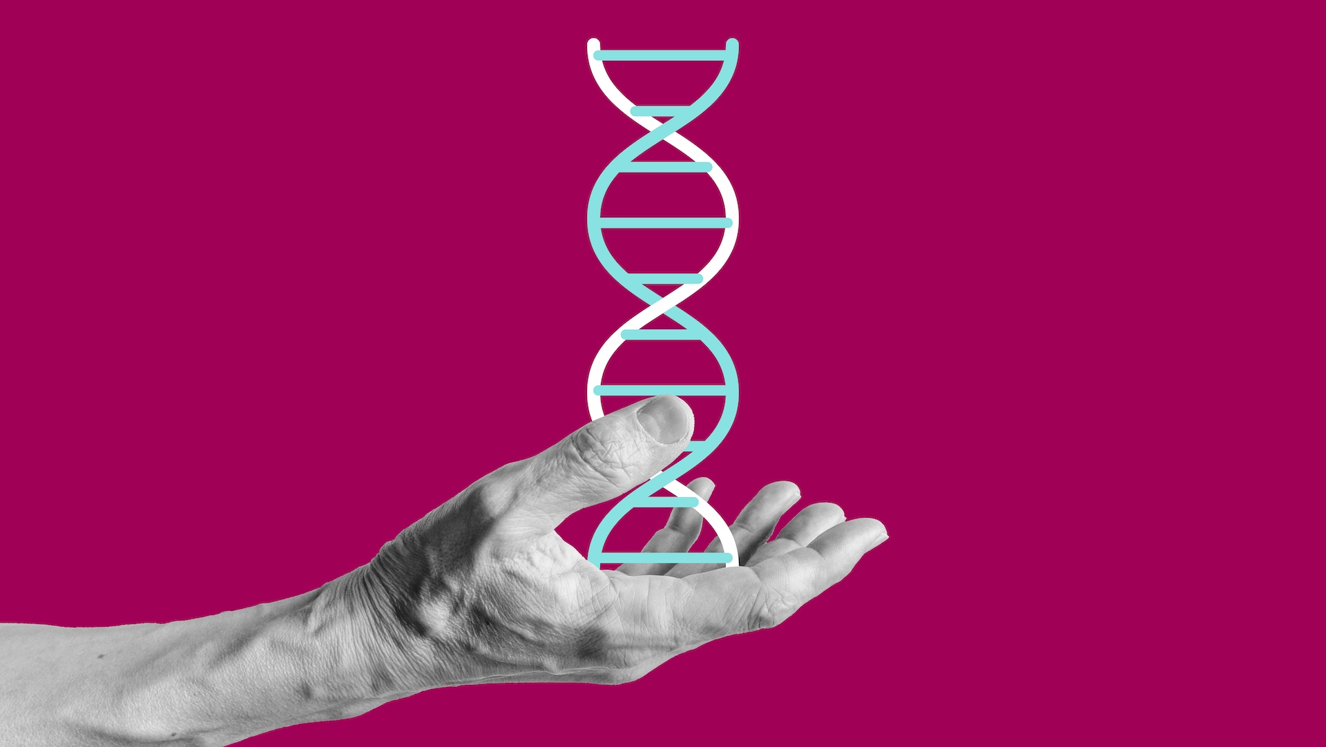 a photo collage illustration of a human hand holding a molecule of DNA