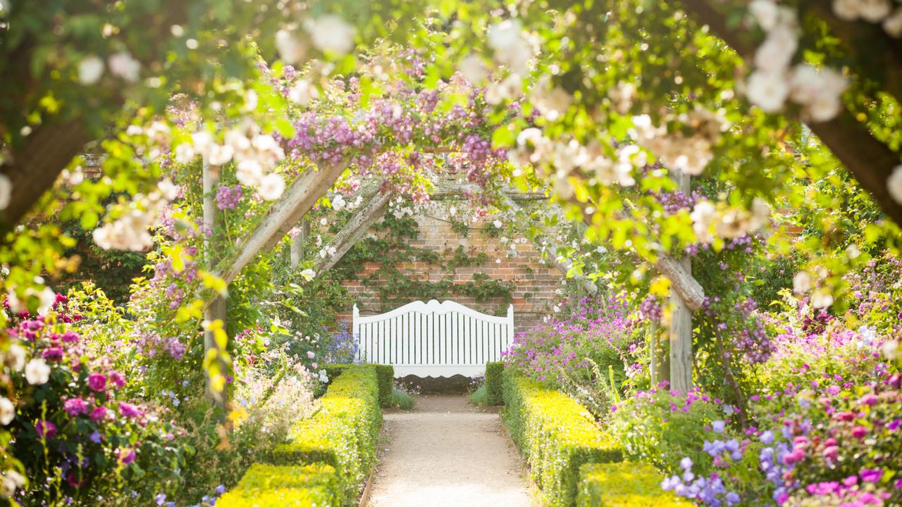 Rose garden with bench 