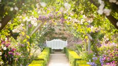 Rose garden with bench 