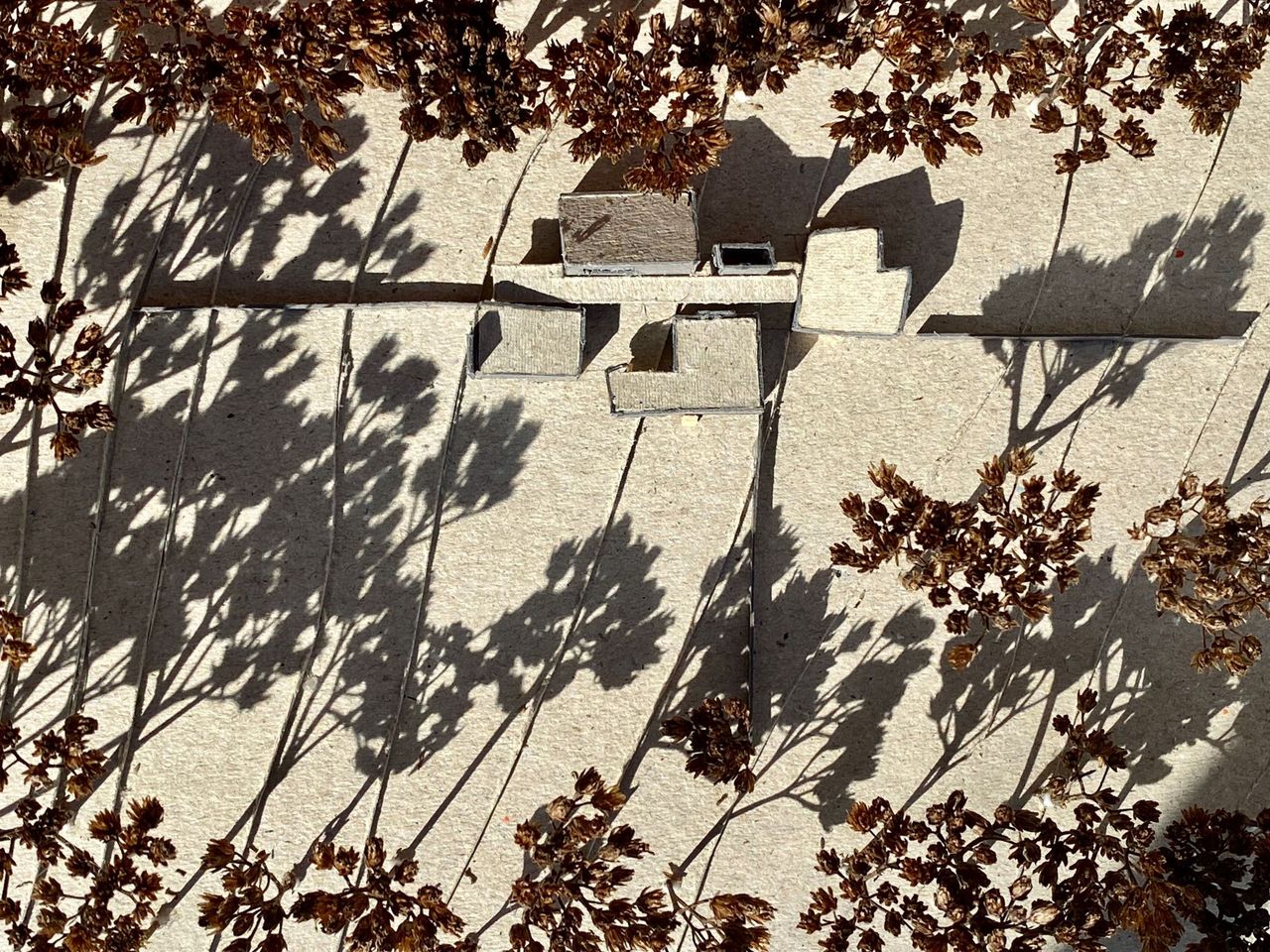 An overhead shot of the plans show the home completely surrounded by trees