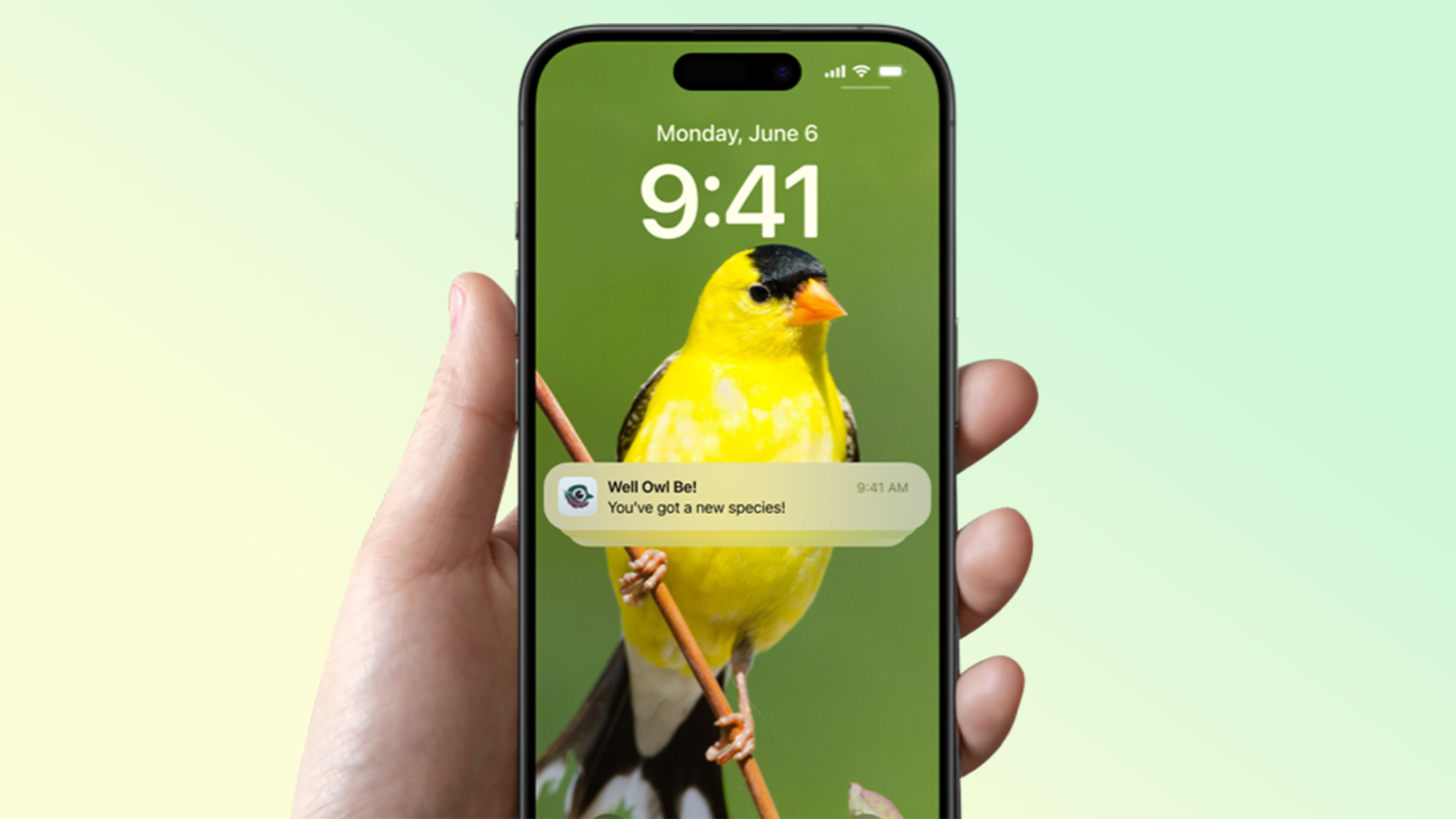 Notifications from the Feathersnap Scout Bird Feeder displayed on an iPhone.