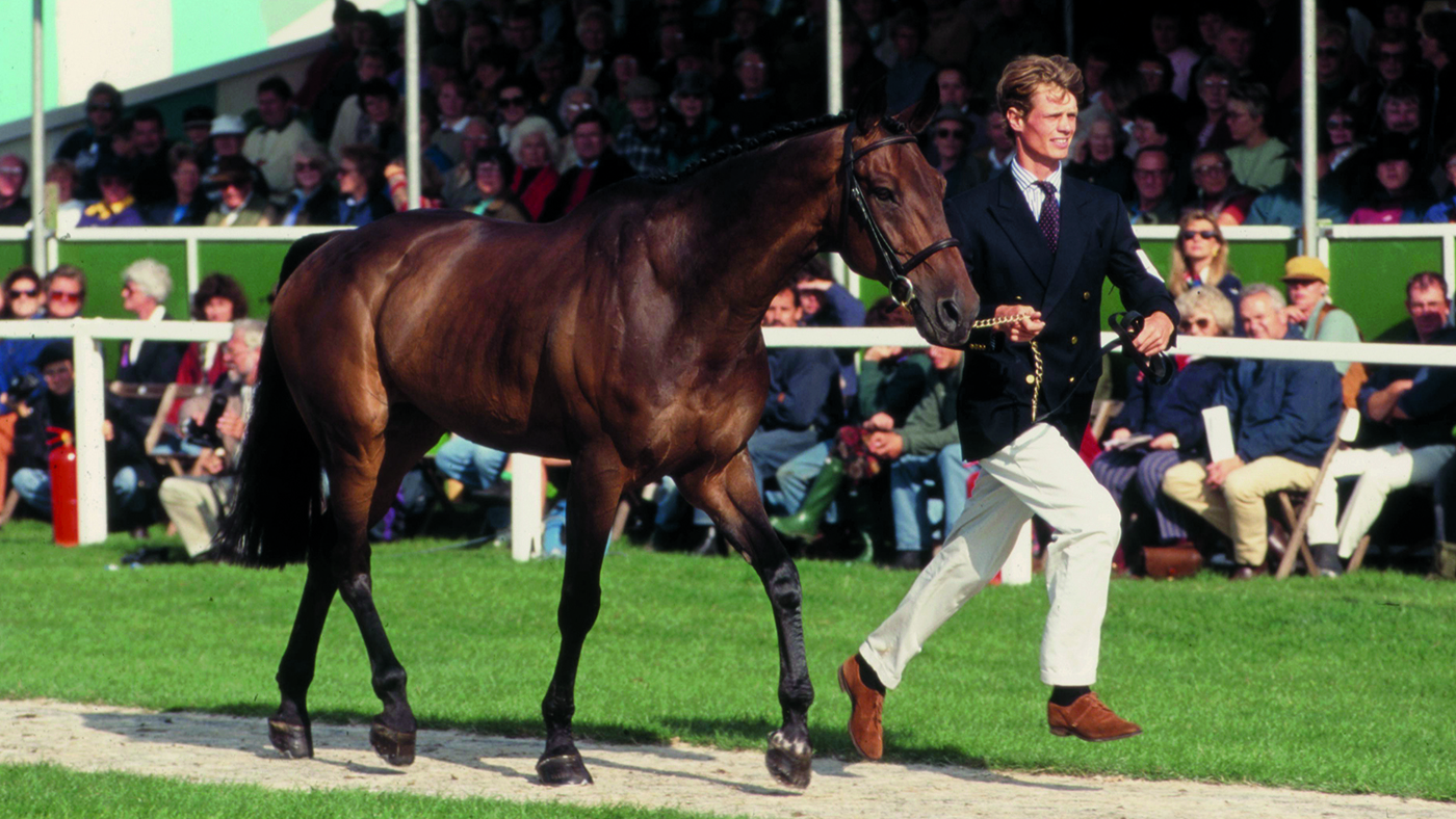 William Fox&amp;ndash;Pitt and Chaka.