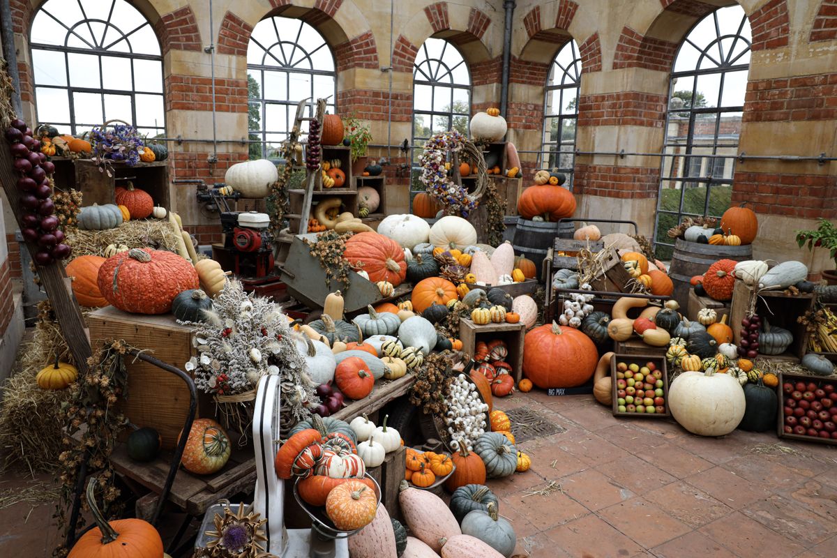 Sample image of a pumpkin display