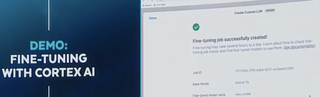 Fine tuning with Cortex AI demo