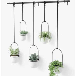 hanging plant holder from john lewis