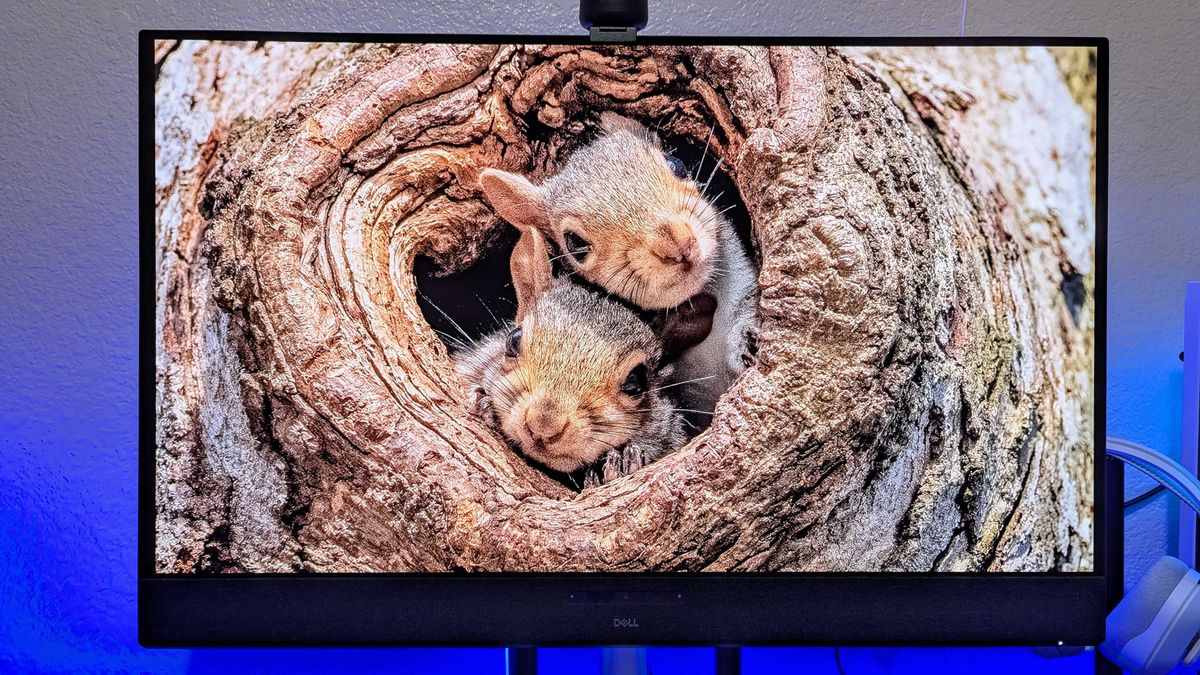 Image of the Dell 32 Plus 4K QD-OLED Monitor (S3225QC).