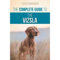 The Complete Guide To The Vizsla The Complete Guide To The Vizsla
