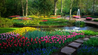 The colourful flowers of Keukenhof Gardens