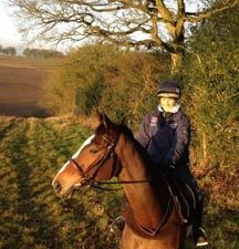 Kauto_Star.jpg