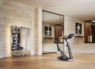 Technogym bike by Antonio Citterio