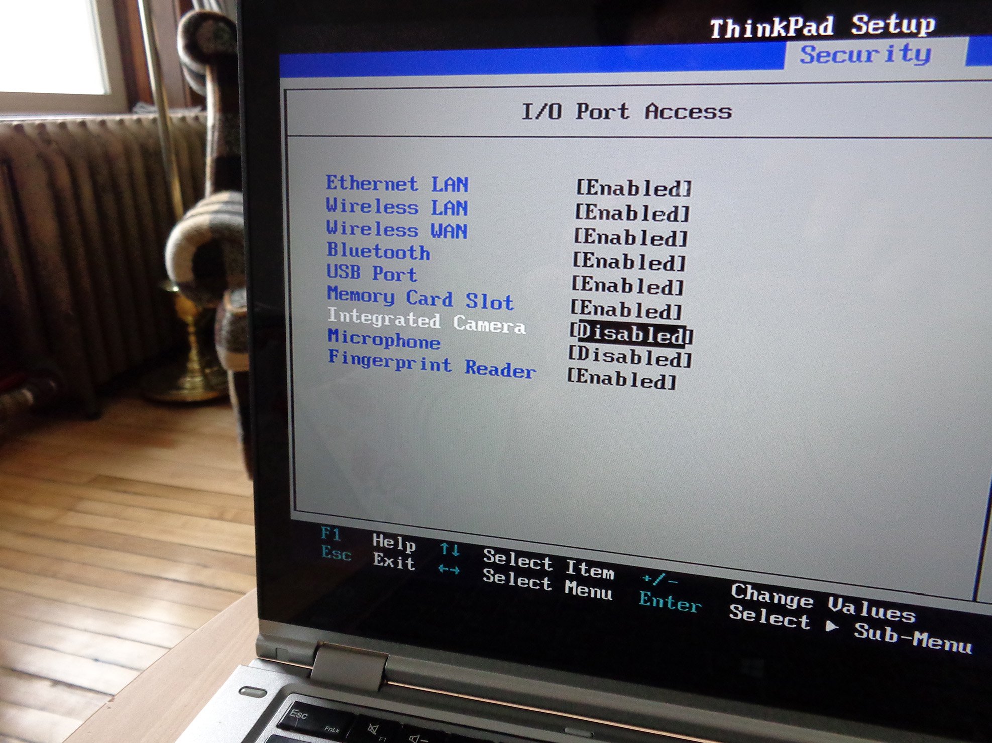 Microphone and camera options in a ThinkPad&#39;s BIOS