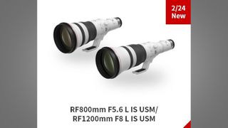 A leaked image of the Canon RF 800mm and 1200mm lenses