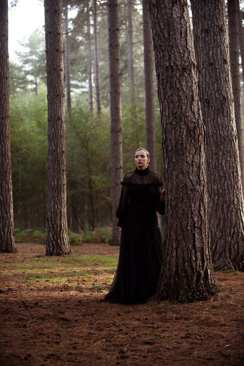 People in nature, Tree, Forest, Woodland, Natural environment, Old-growth forest, Woody plant, Trunk, Grove, Plant,