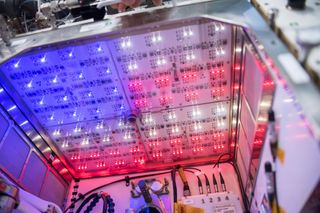 An array of LED lights shine in a half-box assembly