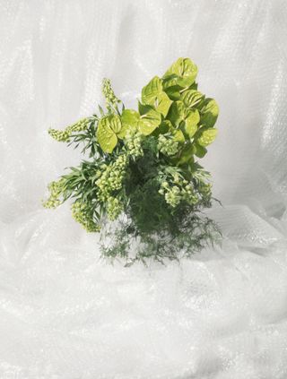 Flowers photographed on a clear bubble wrap