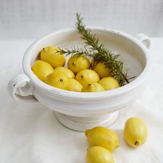white lemon bowl with green plant and lemons