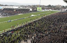 cheltenham tape