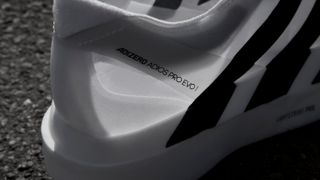a photo of the Adidas Adios Adizero Pro Evo 1 midsole